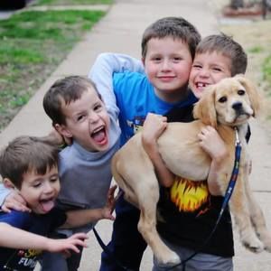 Meet your Posher, Sherry